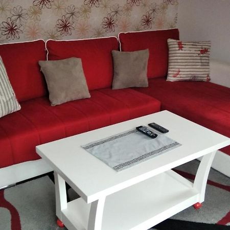 Lux Apartman Ristic 2 Сокобаня Экстерьер фото
